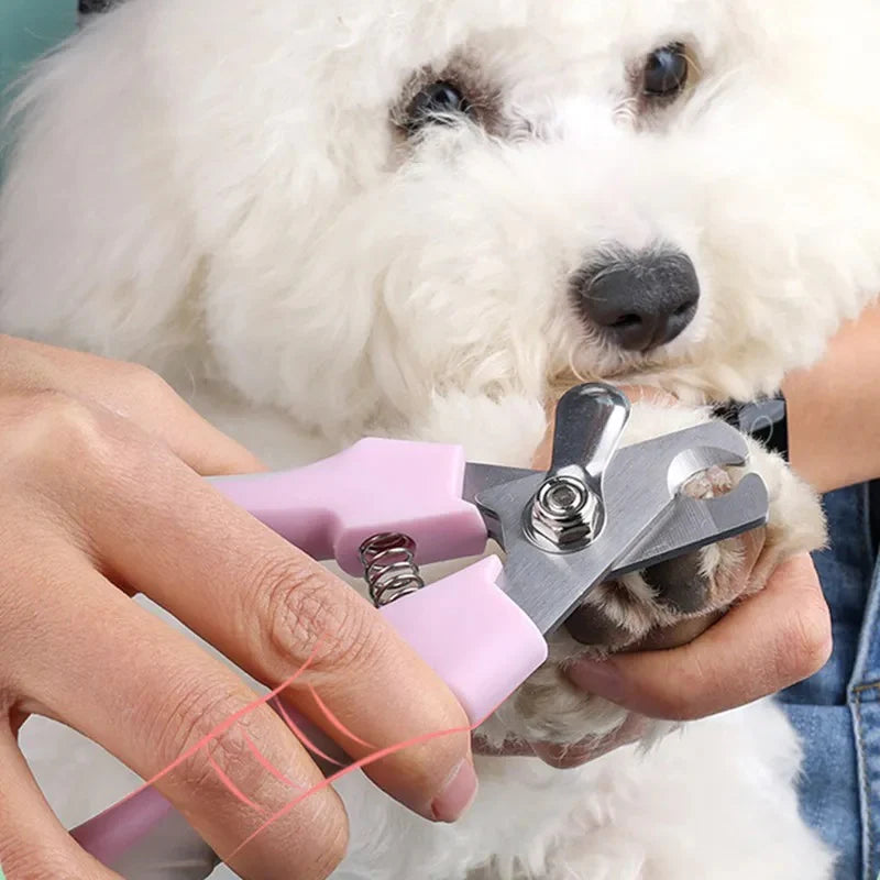 🐶 ¡Afeita a tu mascota en casa como un profesional!✂️Con el kit de peluquería para mascotas 😻🐩