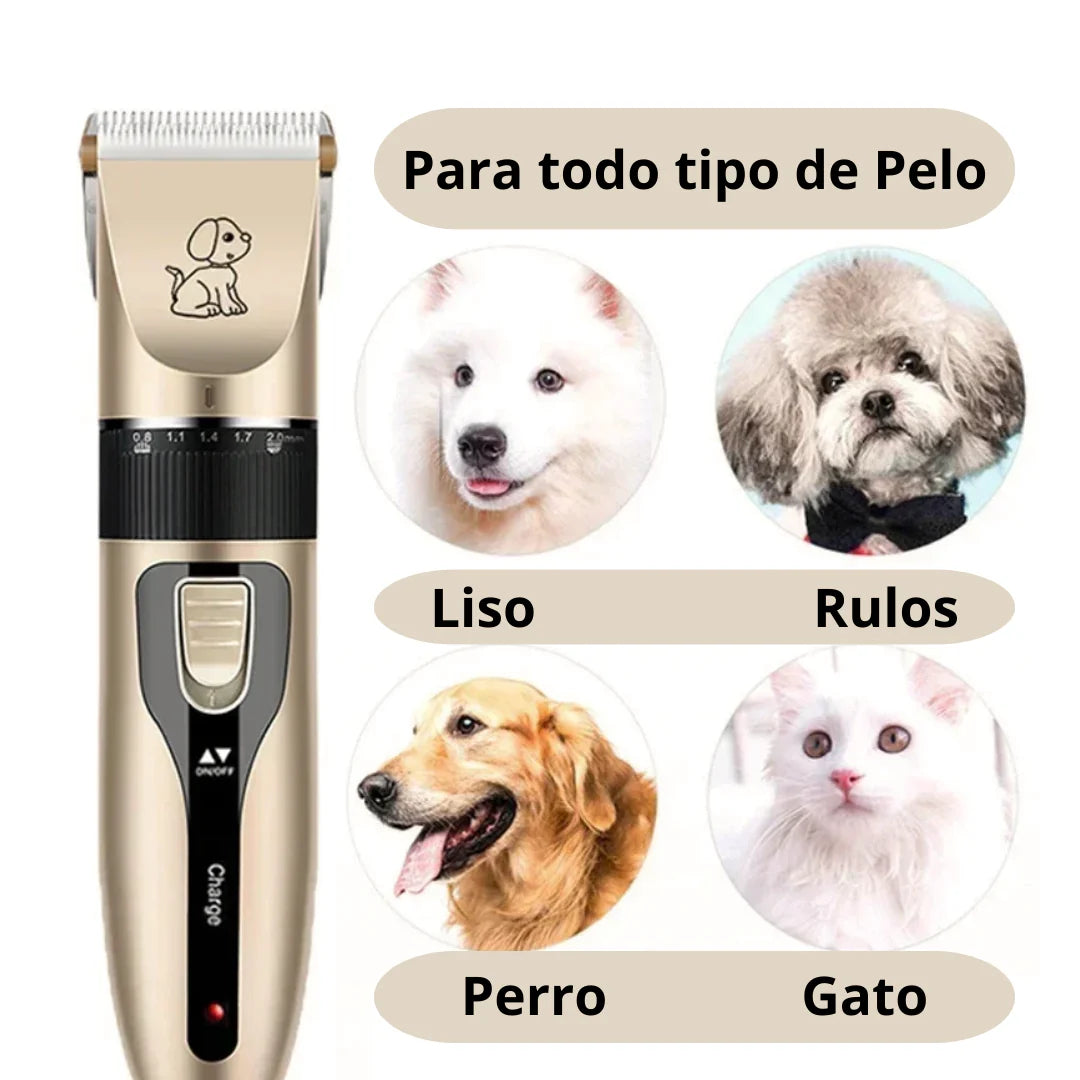 🐶 ¡Afeita a tu mascota en casa como un profesional!✂️Con el kit de peluquería para mascotas 😻🐩